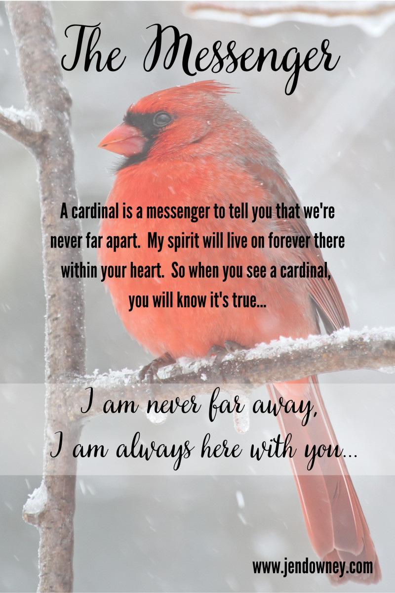 meaning-of-the-cardinal