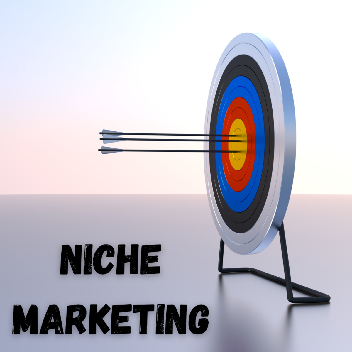 Concept Of Niche Marketing Every Business Should Consider