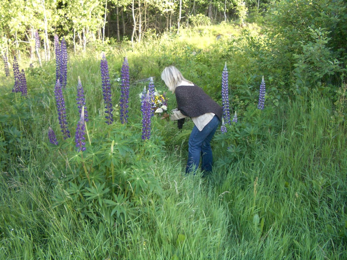 Allemansratten allows you to pick flowers on anyone's land in Sweden...