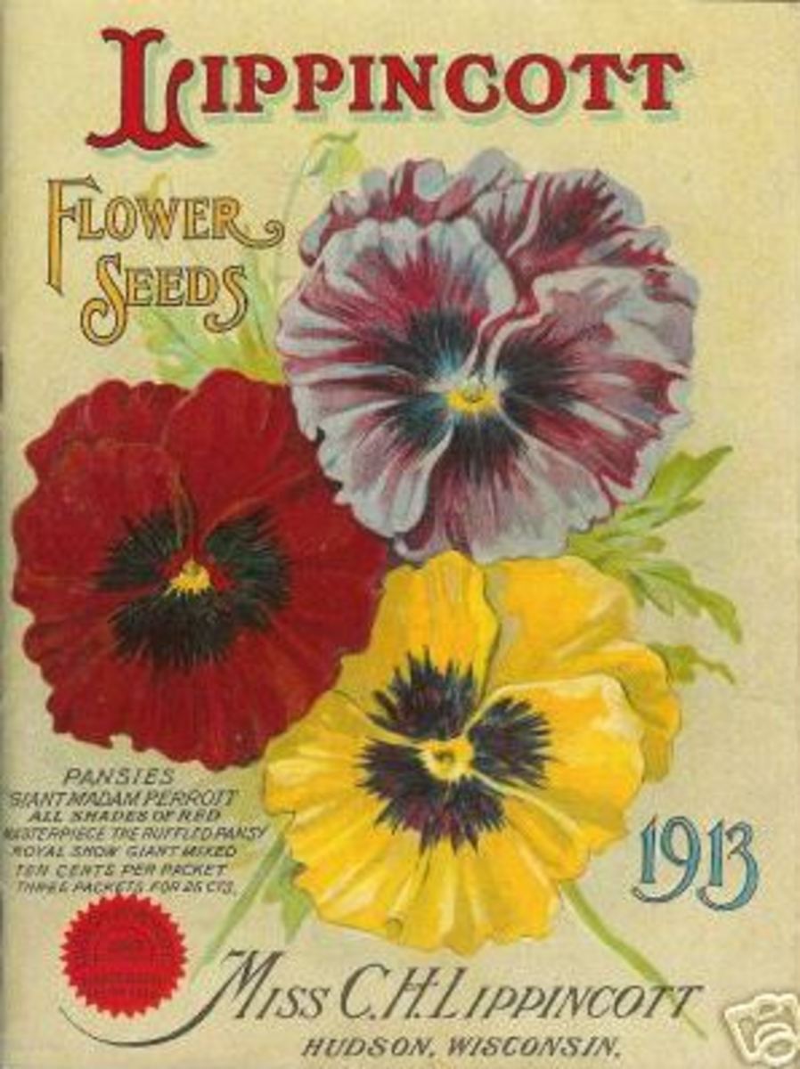 free-cross-stitch-pattern-flower-seeds