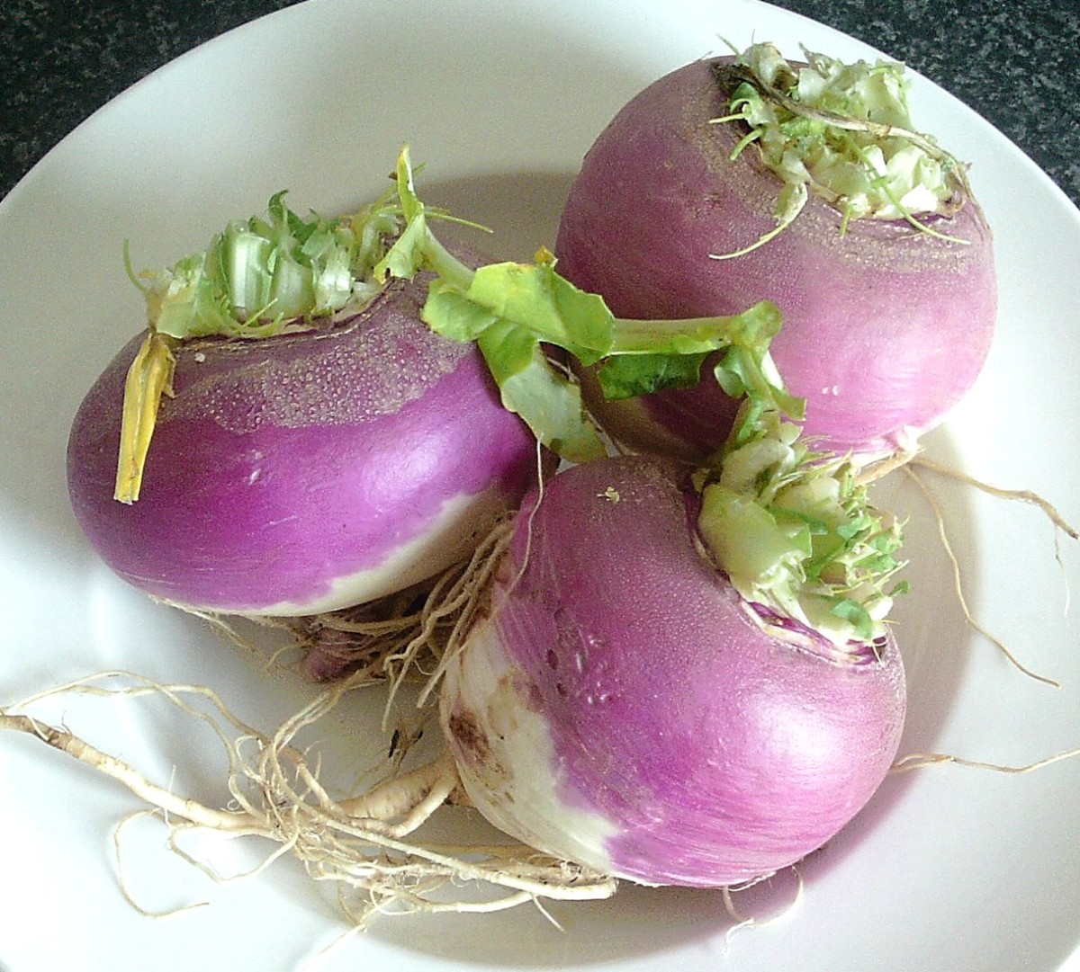 Freshly harvested white turnips