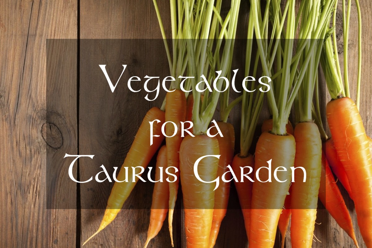 A Taurus garden will be full of spring season fruits and veggies. Think asparagus, peas, cucumbers, raspberries, beets, and carrots.