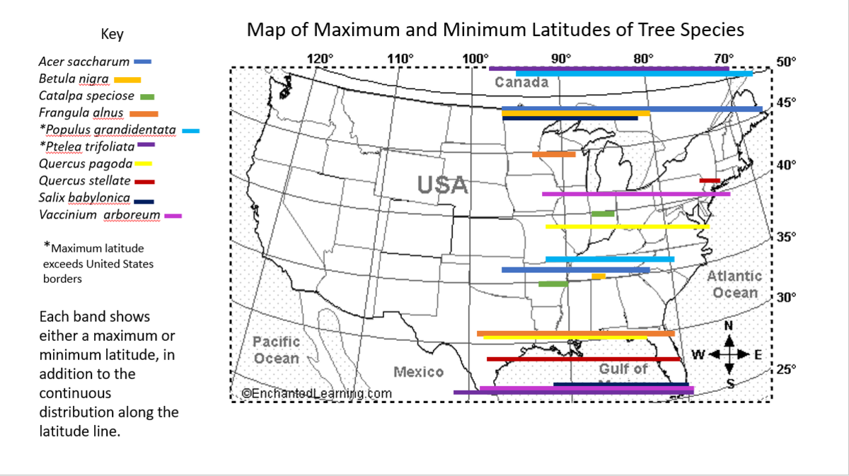 Data from Tree Distribution Maps was used to identify the maximum and minimum latitude in each species' distribution. 