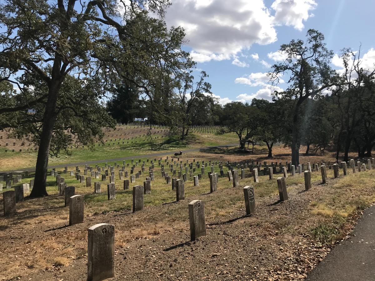 brown graveyard photo