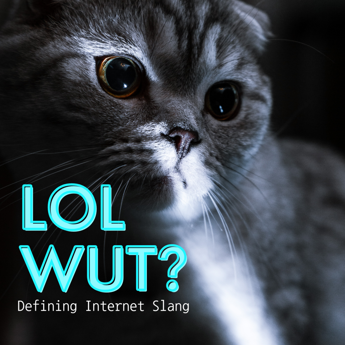 AFK to ZZZ  Internet Slang Trends