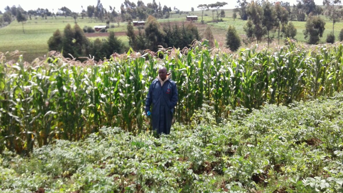 agribusiness-in-kenya
