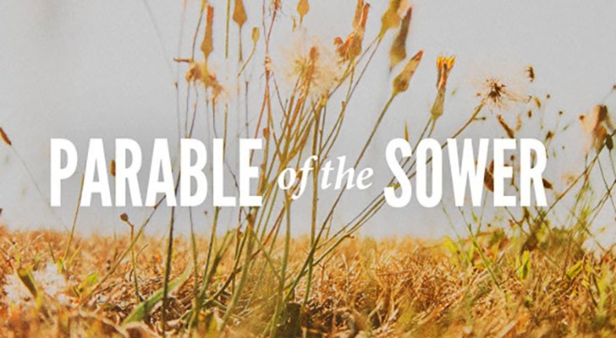 the-three-ss-of-the-parable-of-the-sower