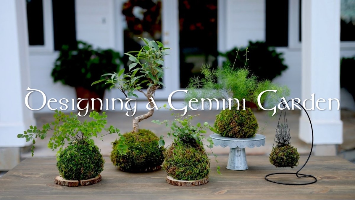 how-to-design-your-garden-like-a-gemini