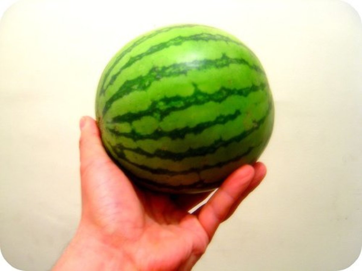 Icebox size watermelons are great for tasty summertime snacks. 