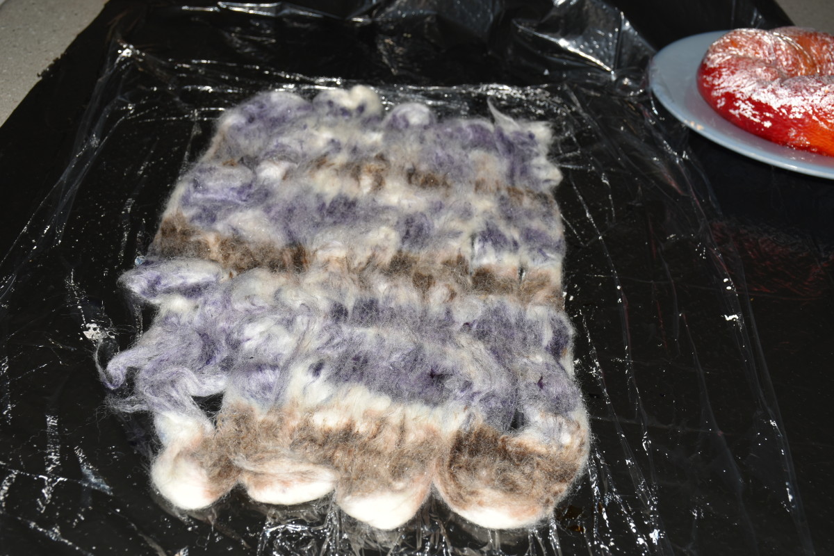 Roving after dye has been applied and squished gently to blend colours.