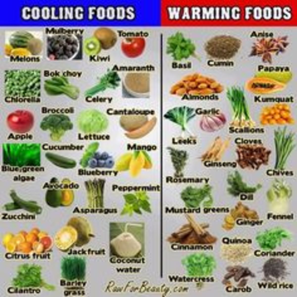 Ayurvedic curried garbanzo beans for digestive health and more HubPages