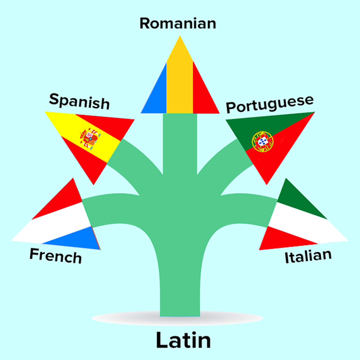Spanish and Italian are among the Romance languages, which are derived from Latin