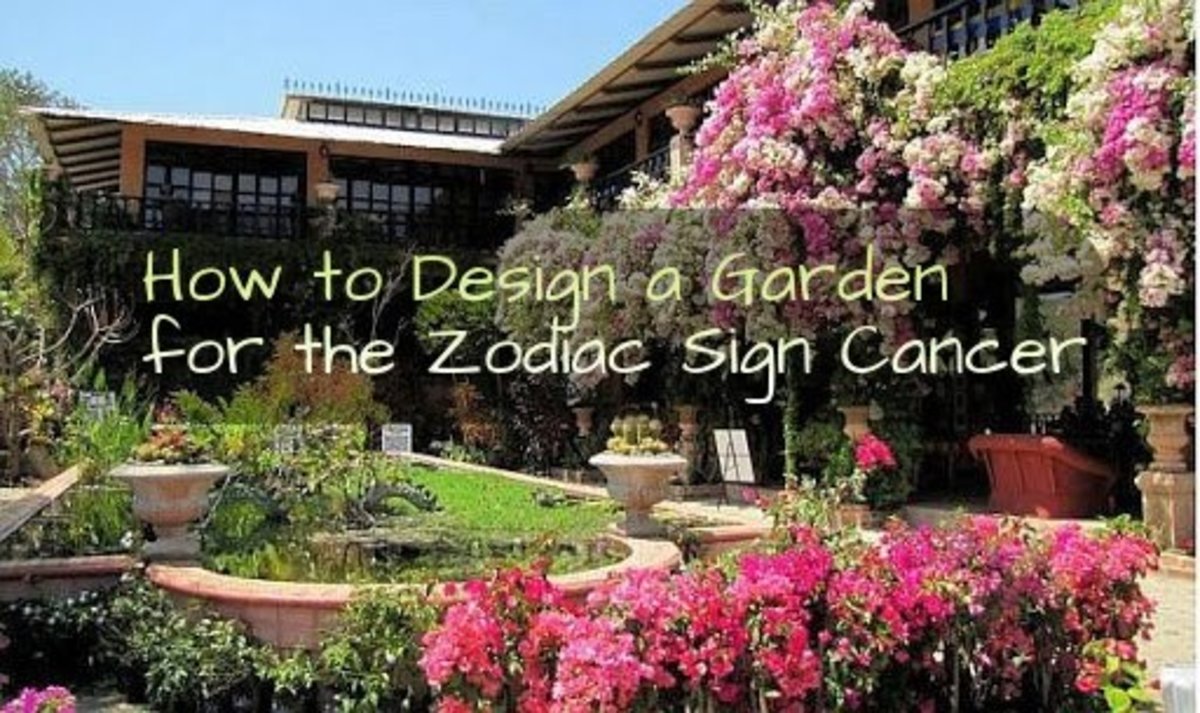how-to-design-your-garden-like-the-zodiac-sign-cancer