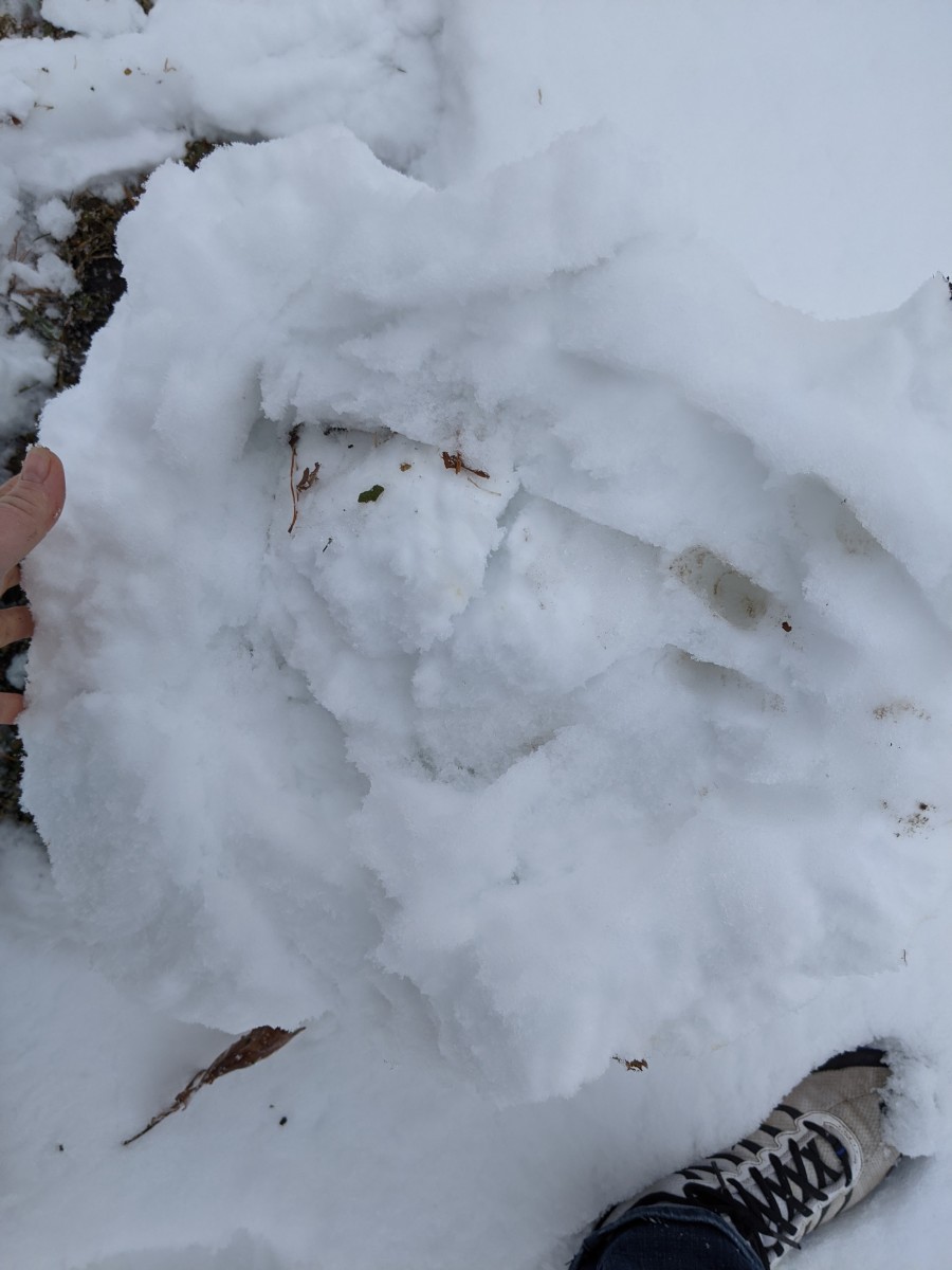 snowman-building-in-a-minnesota-winter