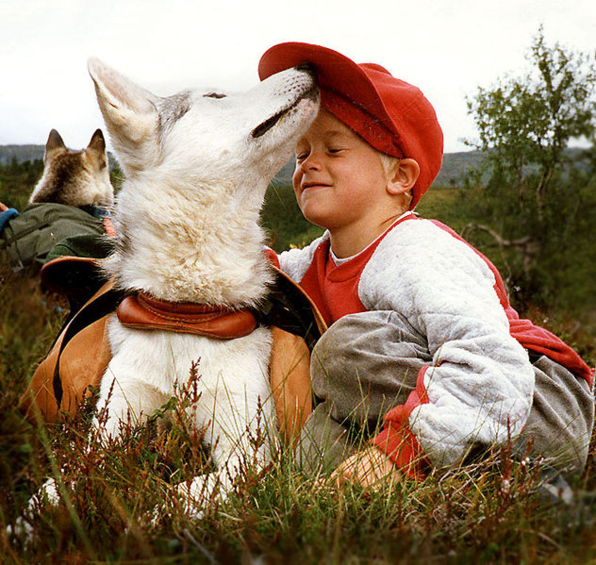 Avoid Foods Dangerous For Your Dog
