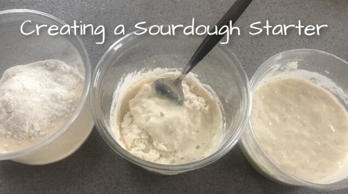 Making Your First Sourdough Starter Bread Making 101 HubPages