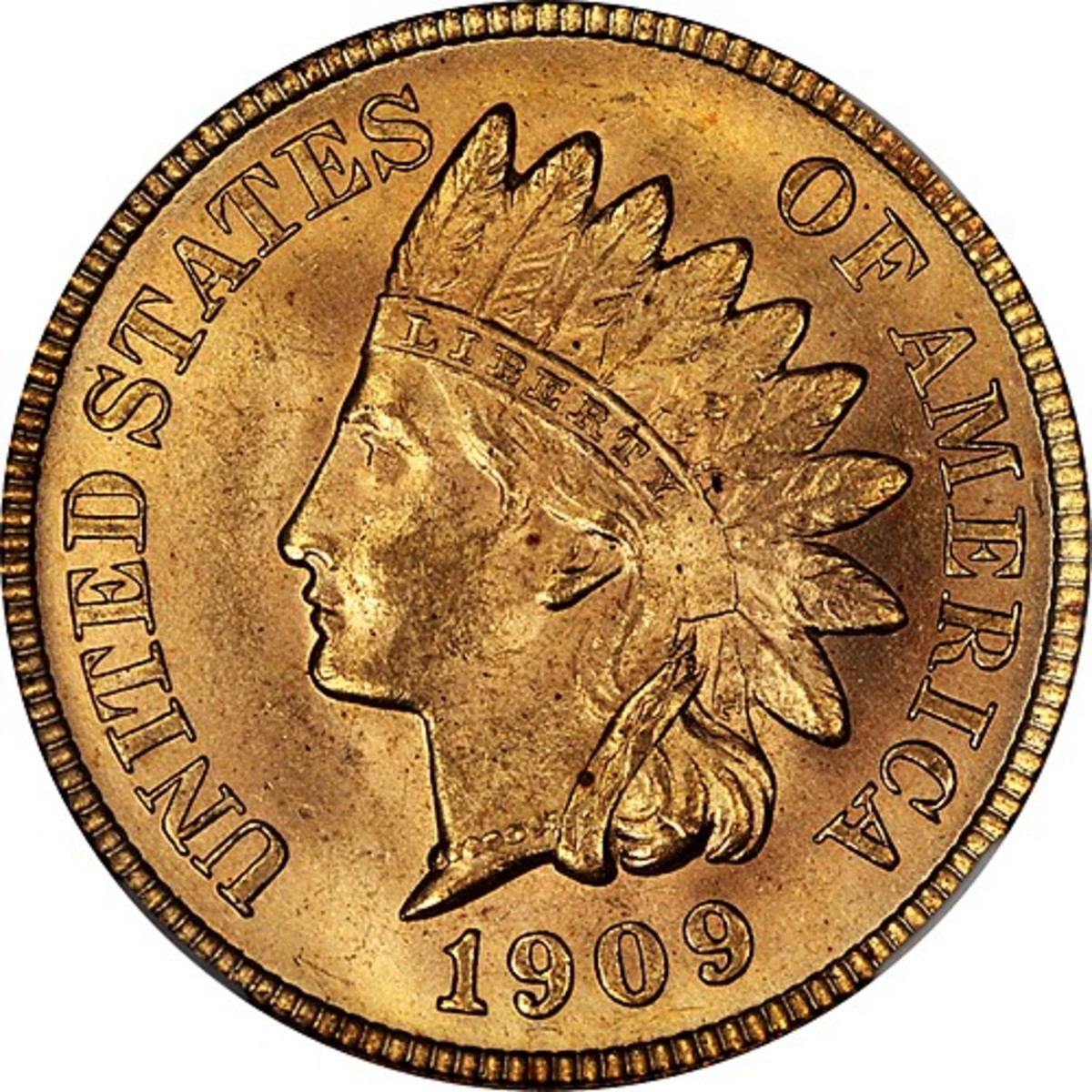 Getting Started With Coin Collecting For The Beginner HubPages