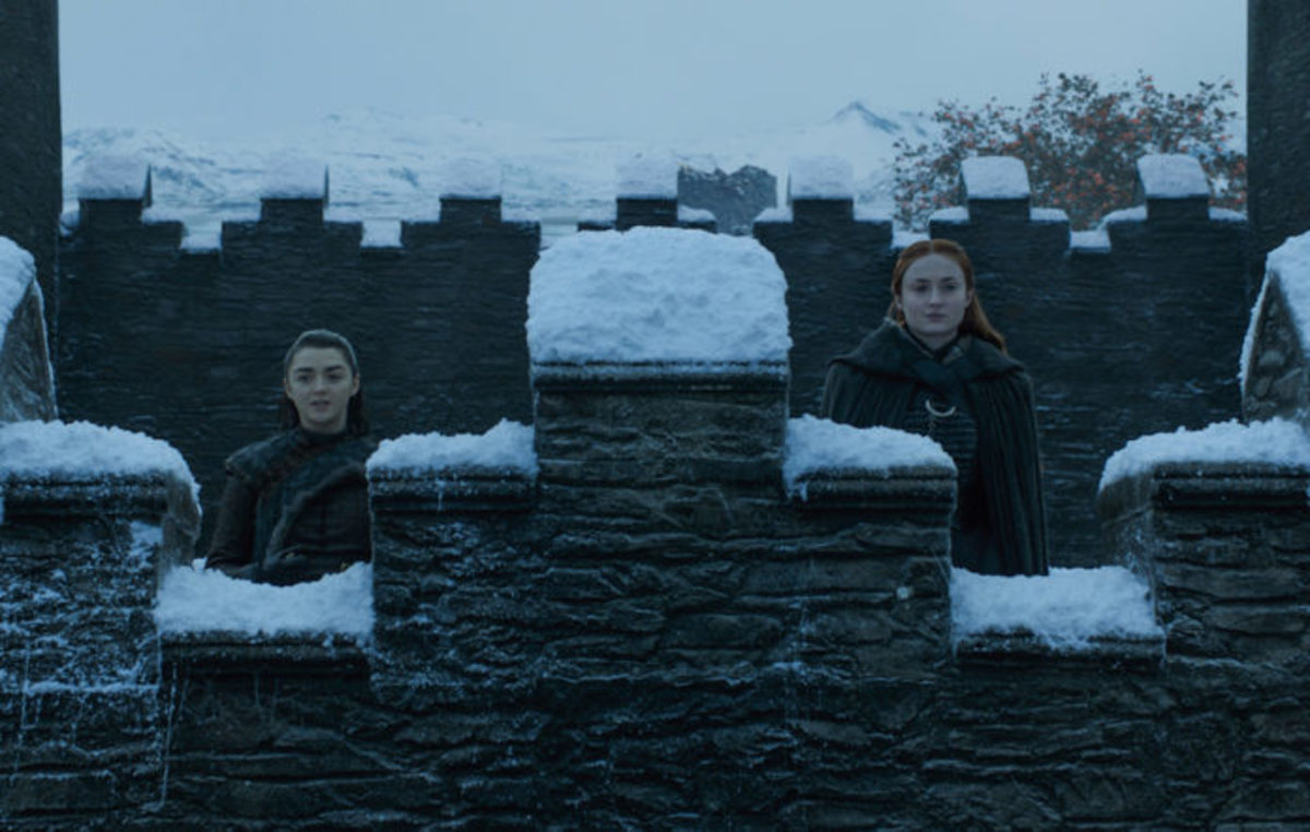 A Tale of Two Sisters: The Conflict Between Sansa and Arya Stark in 