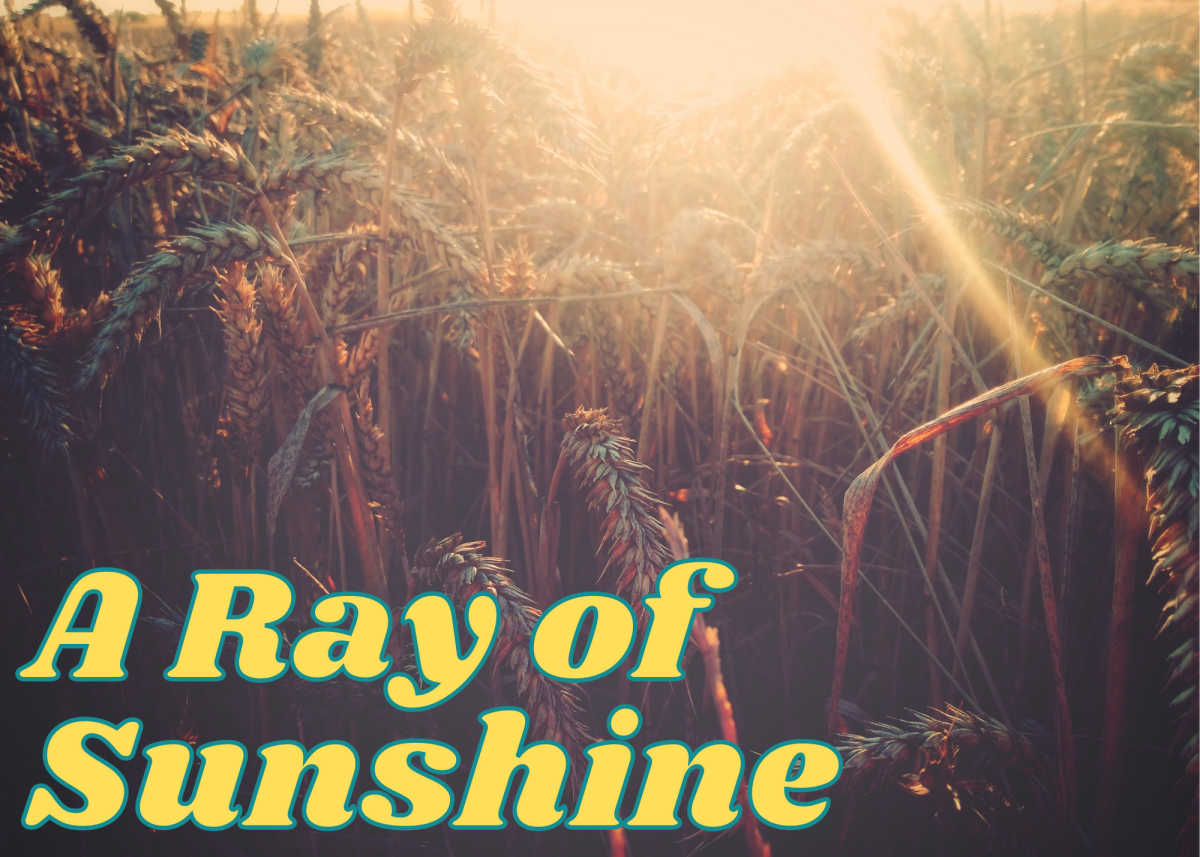 Common Summer Idioms, Sayings, Quotes, Phrases, and Proverbs Holidappy