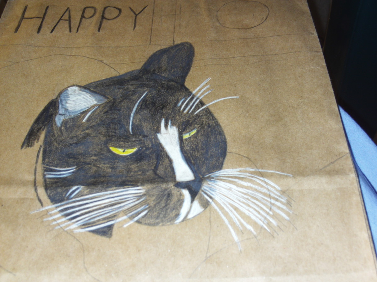 Here I used a white colored pencil to fill in the white portions of the cat.