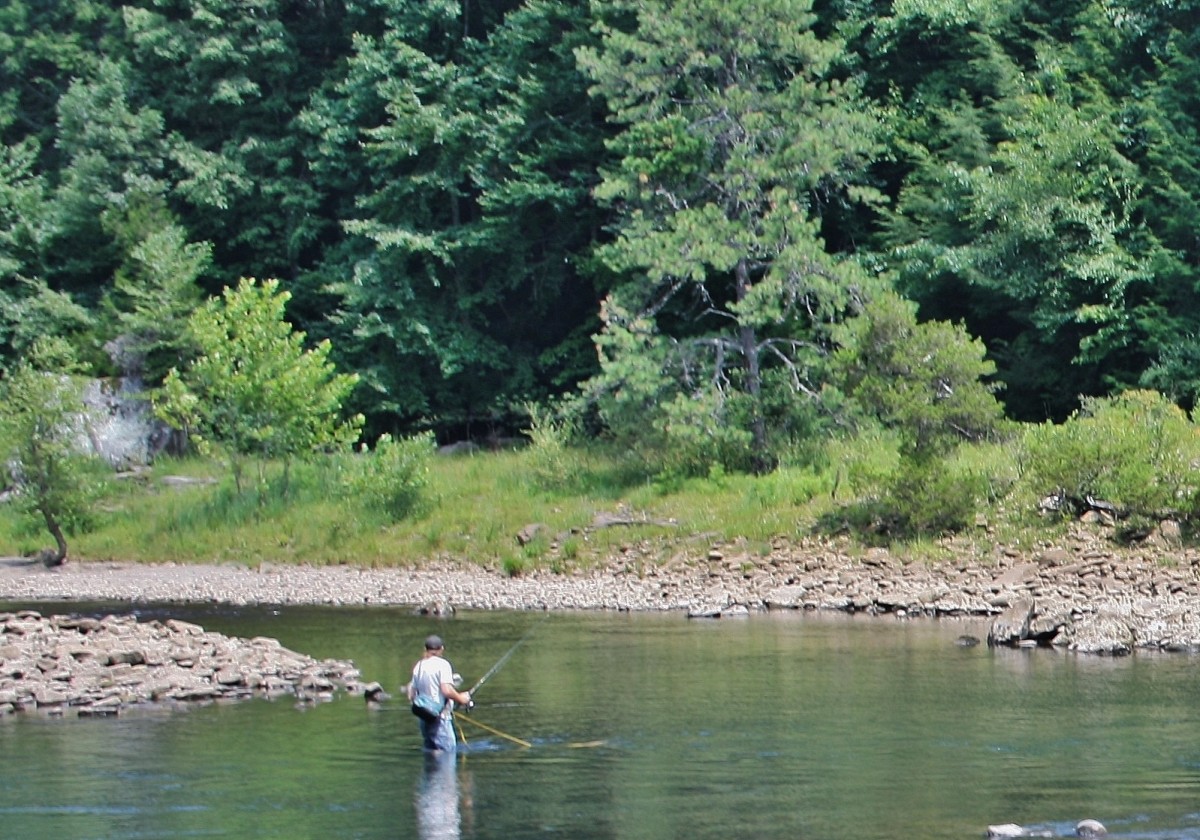 Visiting Cranberry Glades, WV HubPages