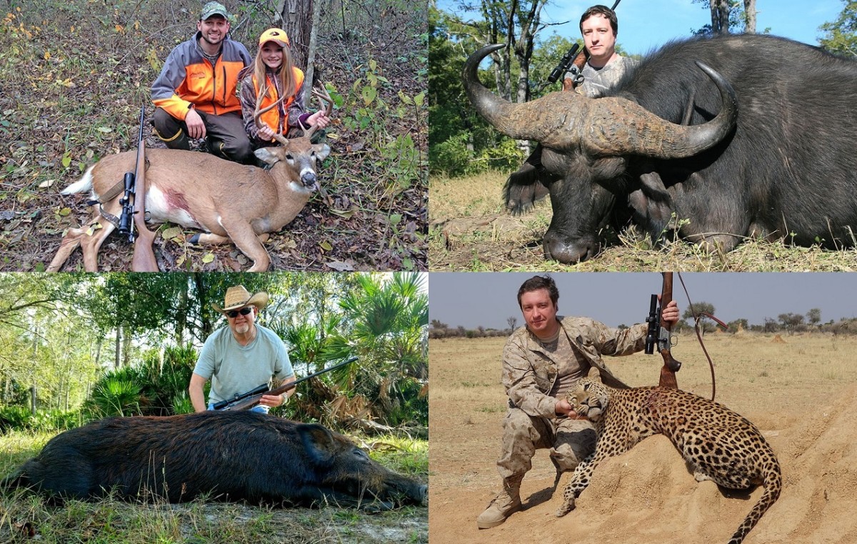 Whitetail deer, Cape buffalo, wild boar, and African leopard