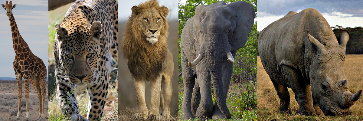 Did you know that not one of these animals is classified as “endangered”?