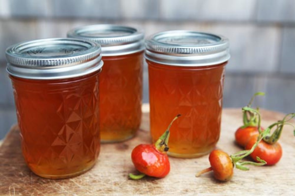 Rose Hip Jelly and Jam
