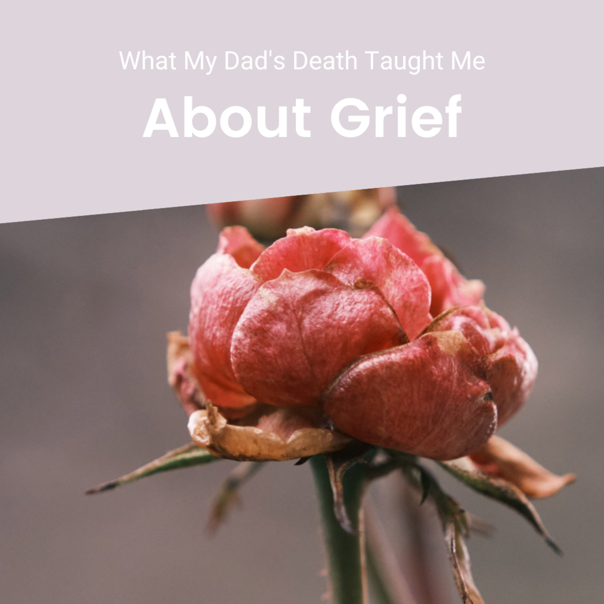 Five Stages of Grief After a Parent's Suicide