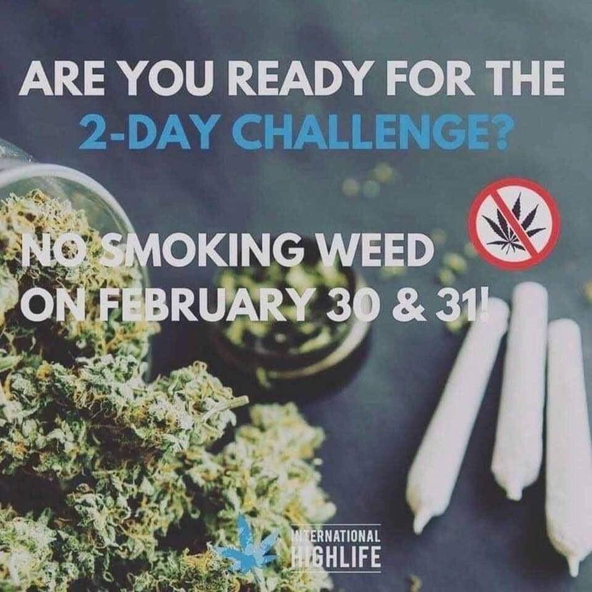 the-two-day-marijuana-challenge