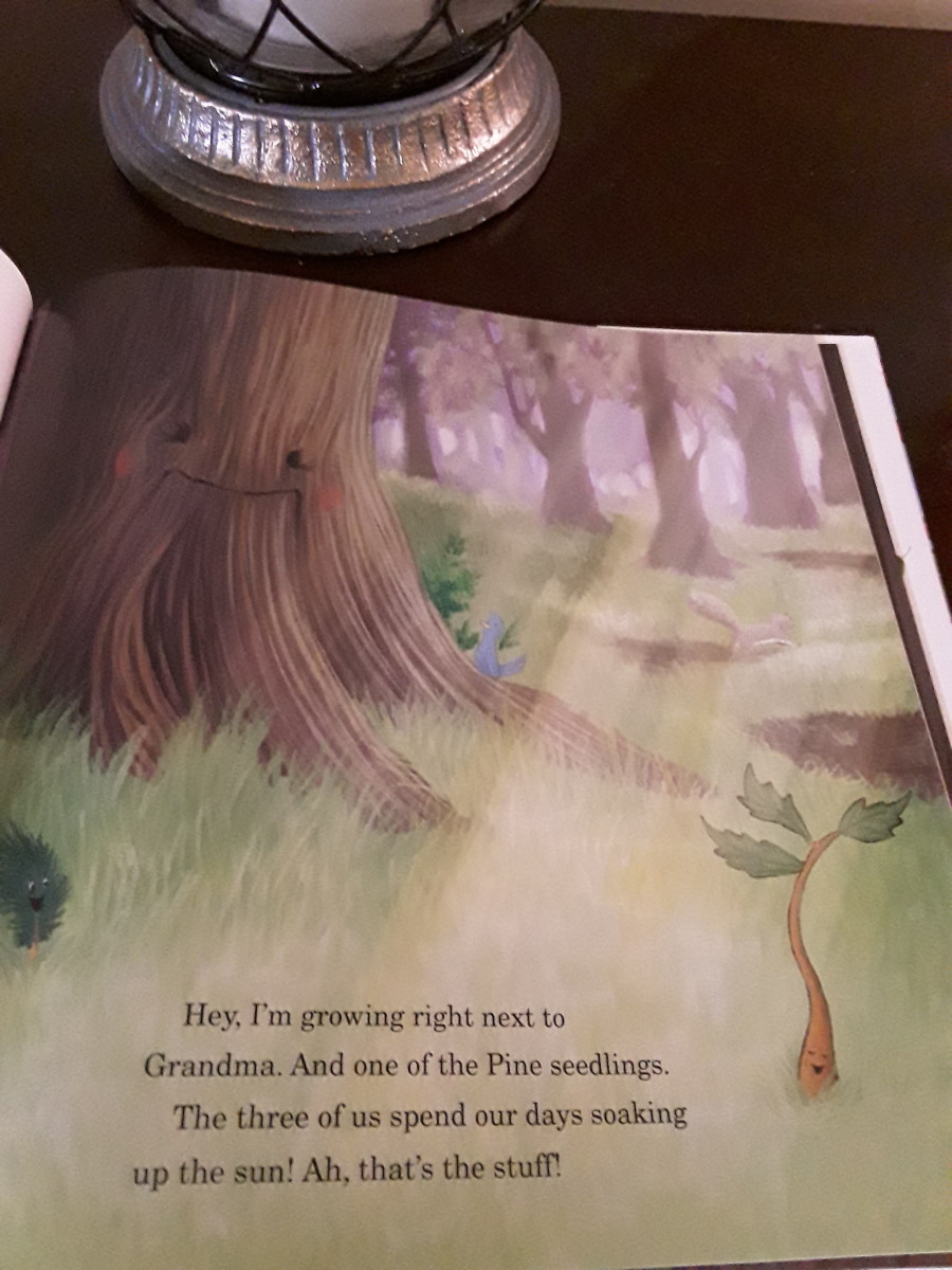 growing-bigger-as-told-by-a-little-acorn-in-charming-picture-book