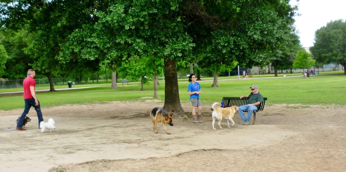 Katy Dog Park 14 Acres of Fun for People and Pets in Katy, TX