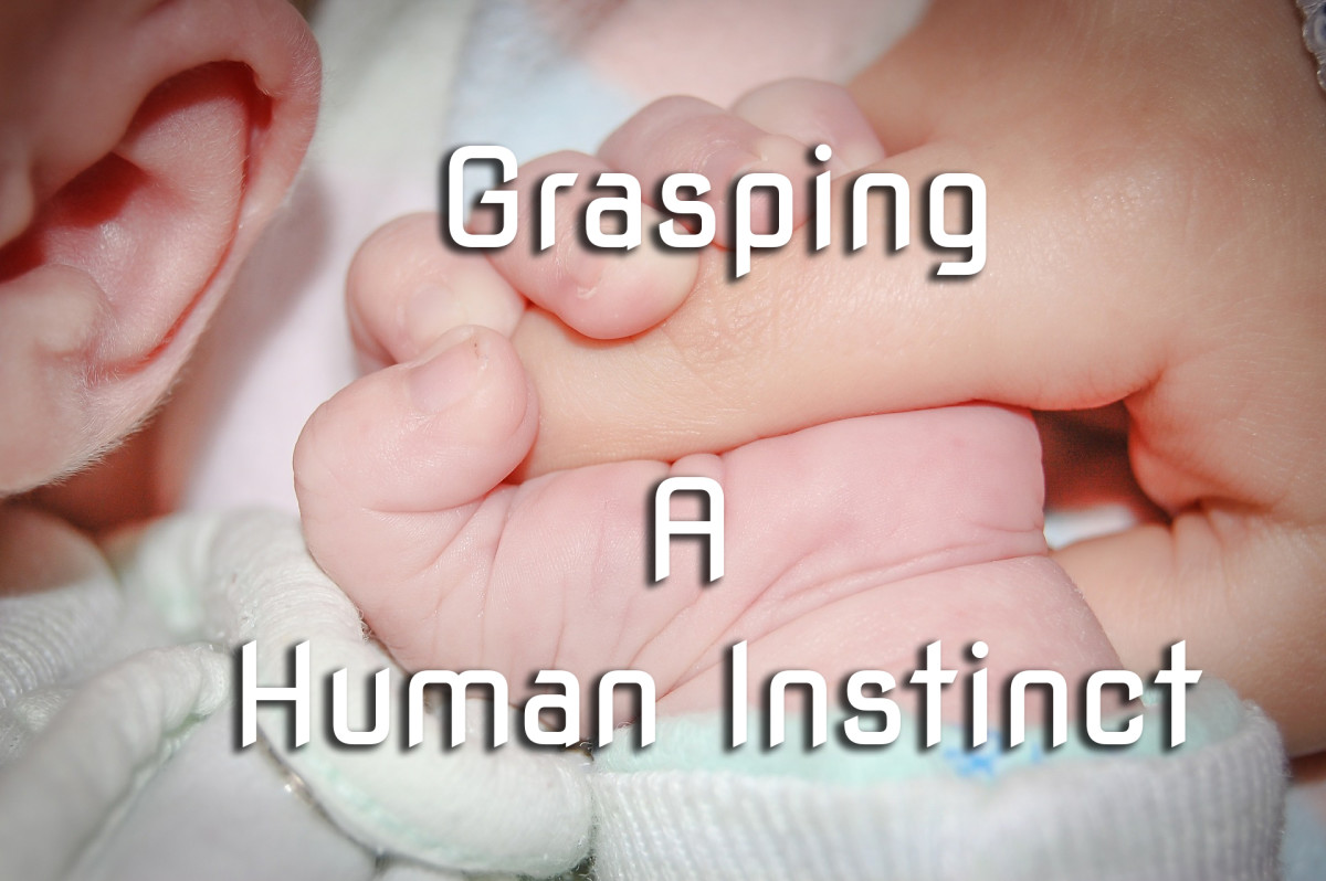 How Instincts in Humans Affect our Social Development