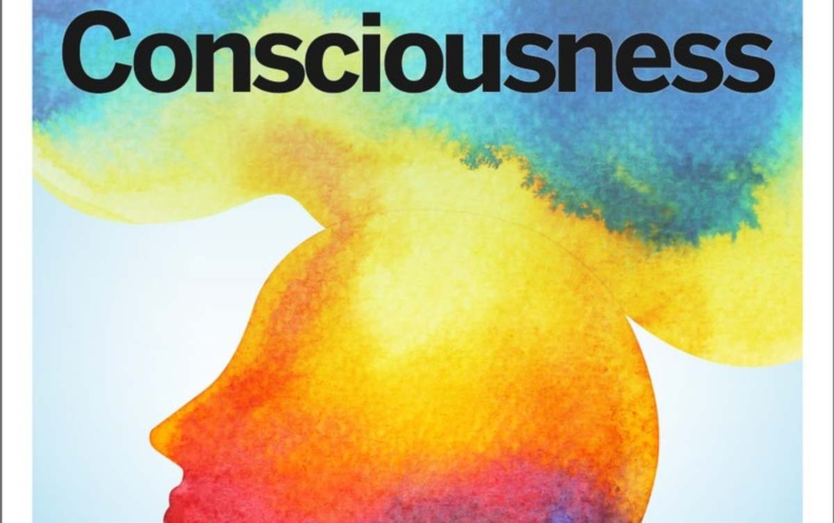 The Mystery of Our Consciousness
