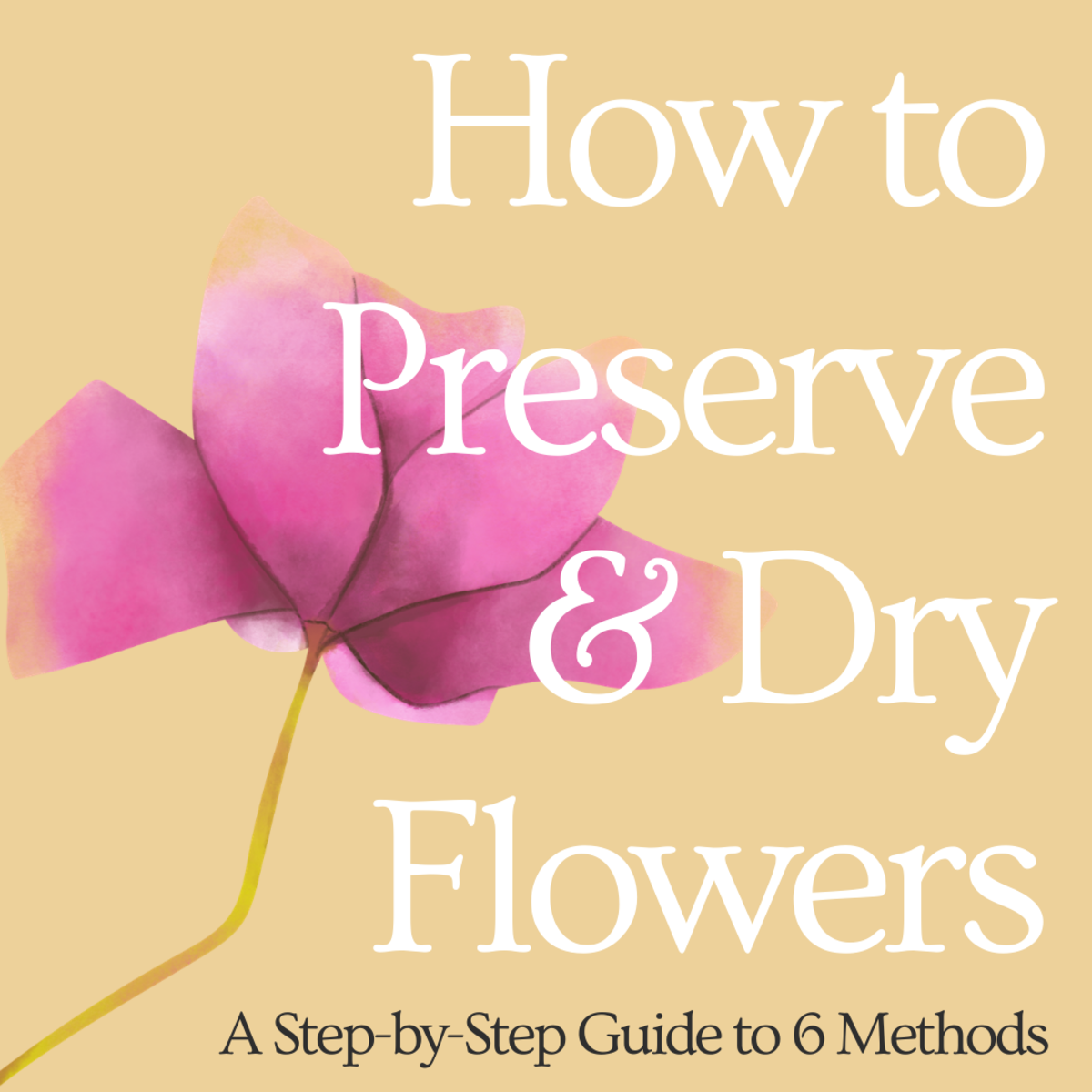 Learn six different ways to dry and preserve flowers. 