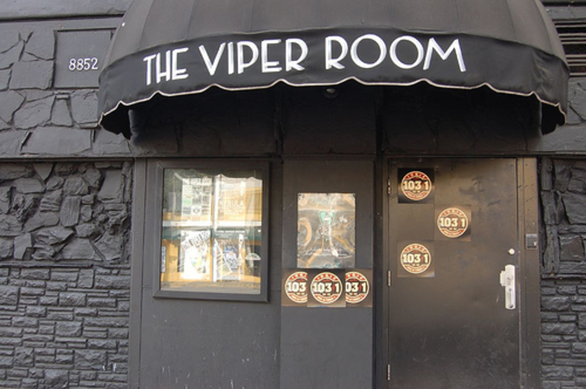 THE VIPER ROOM