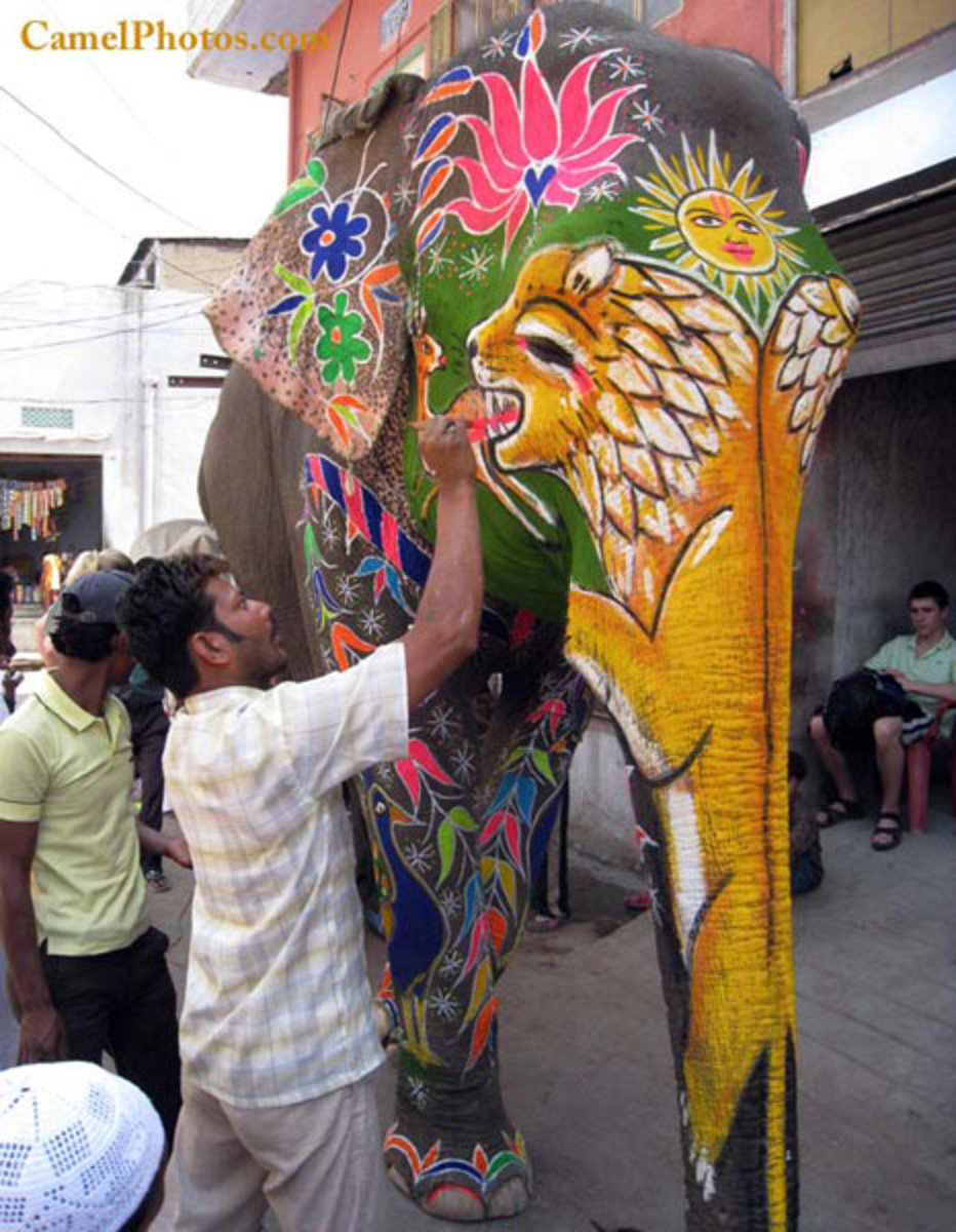 the-vibrant-spring-celebrations-of-india