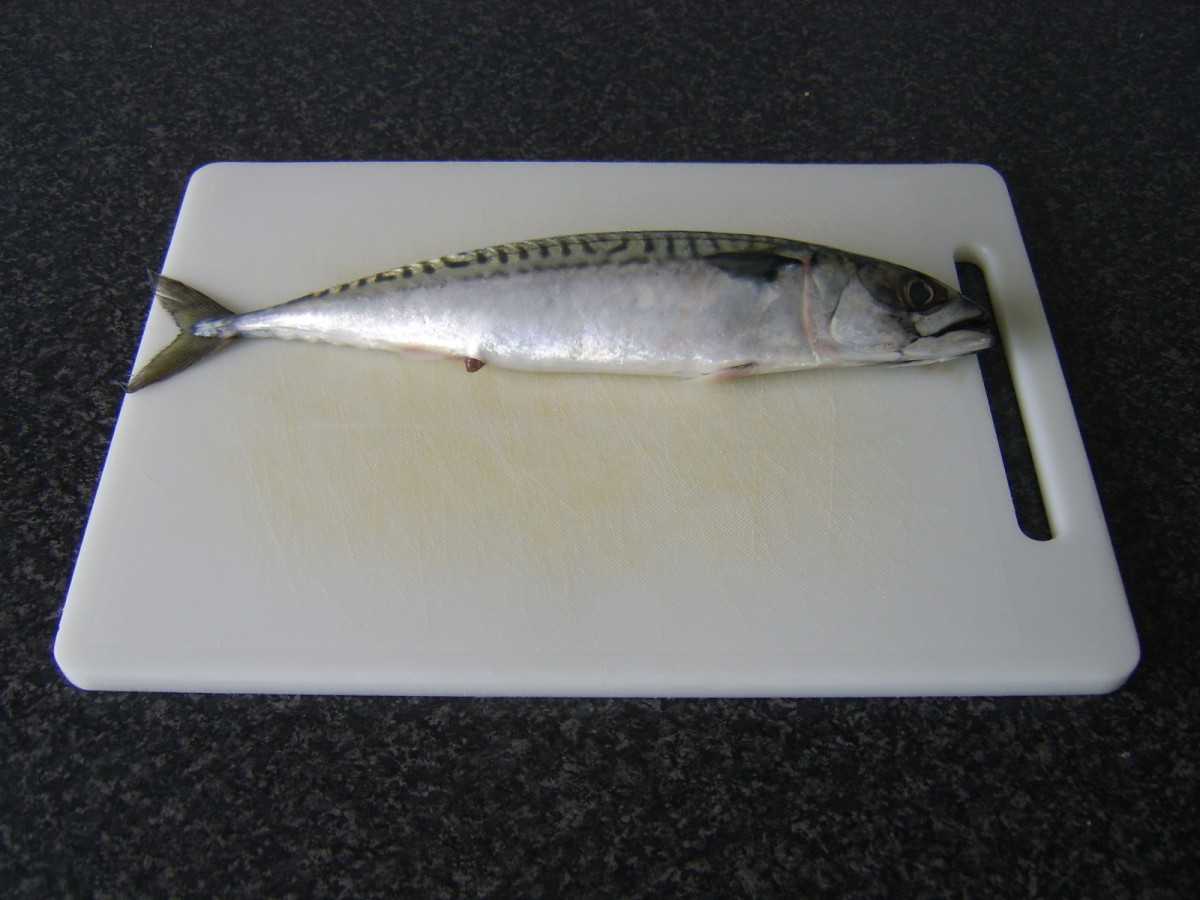 How to Cook Mackerel and Mackerel Recipes HubPages