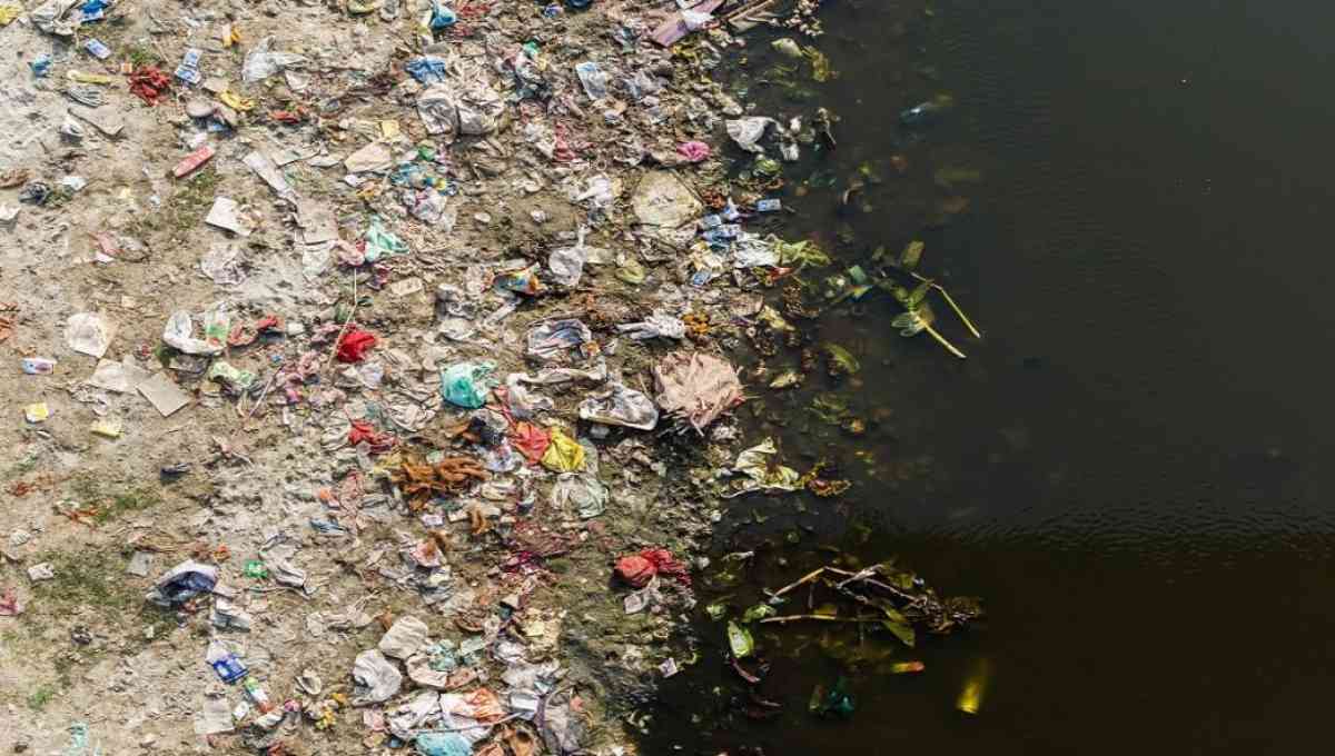 water-pollution-and-its-effects