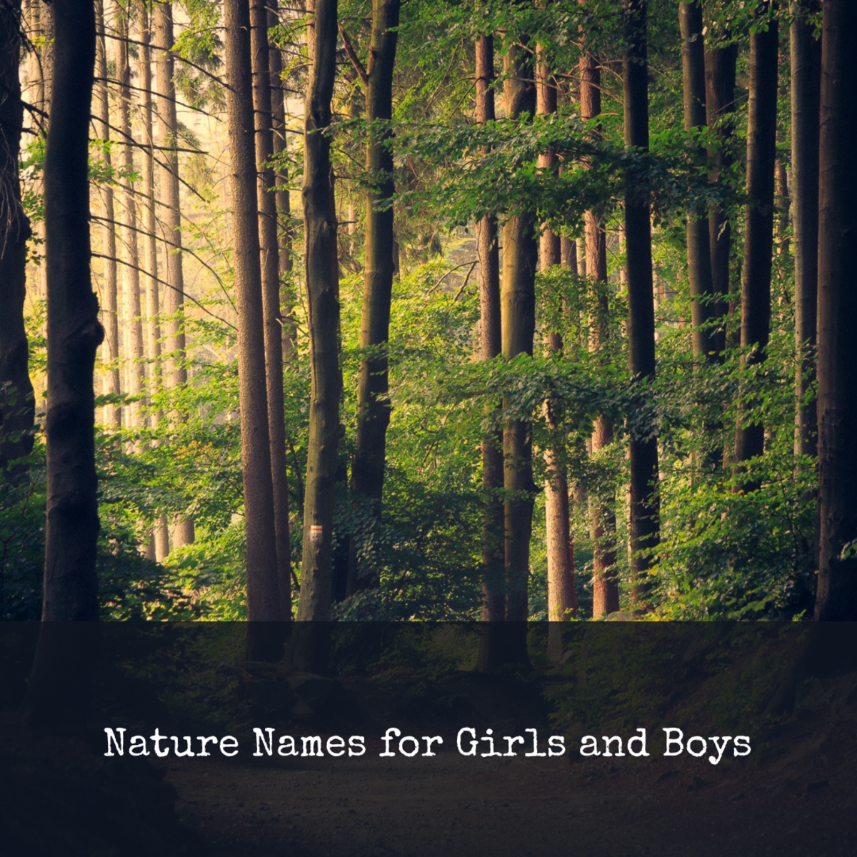 180+ Earthy Baby Names Inspired by Nature
