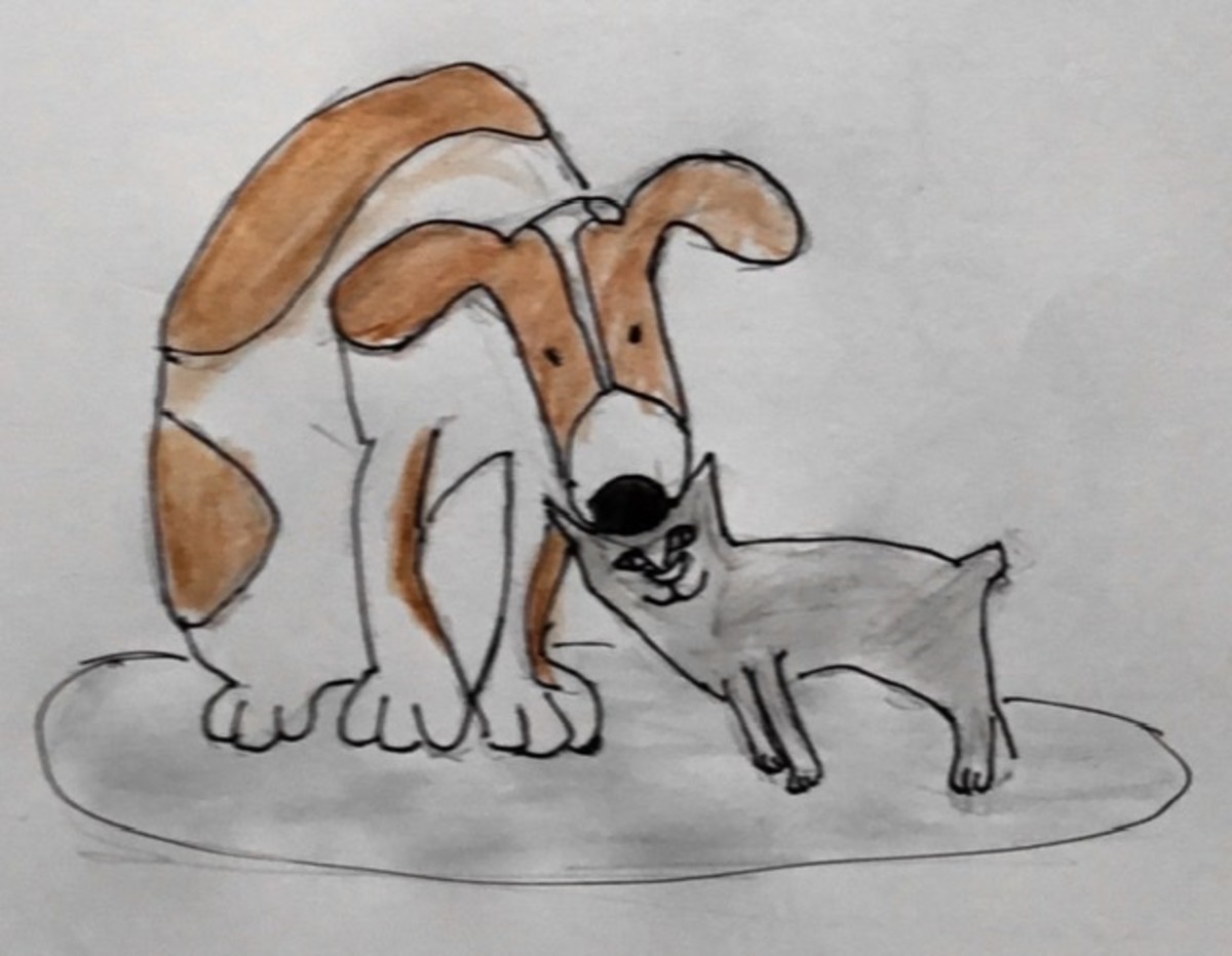 Dog Eared Joe and Cat-Cat and the Lost Bone - a Children’s Story