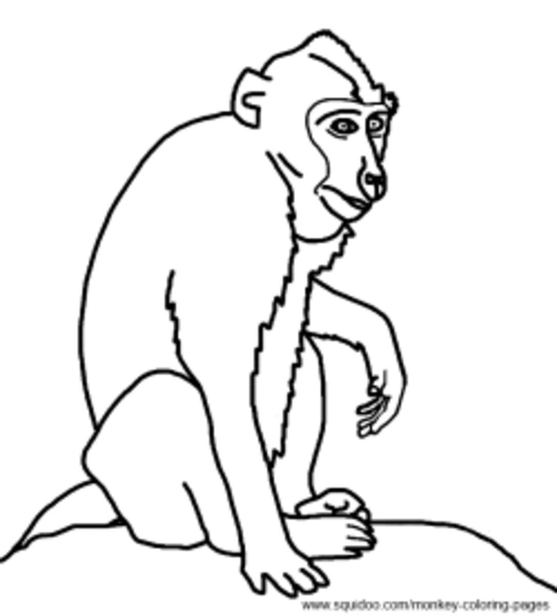 Old World Monkey Coloring Pages