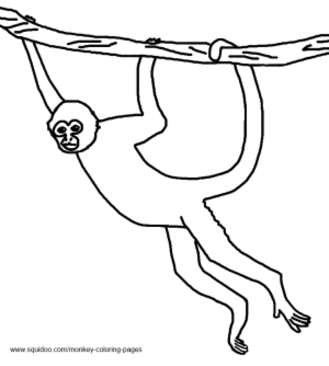 Spider Monkey Coloring Pages