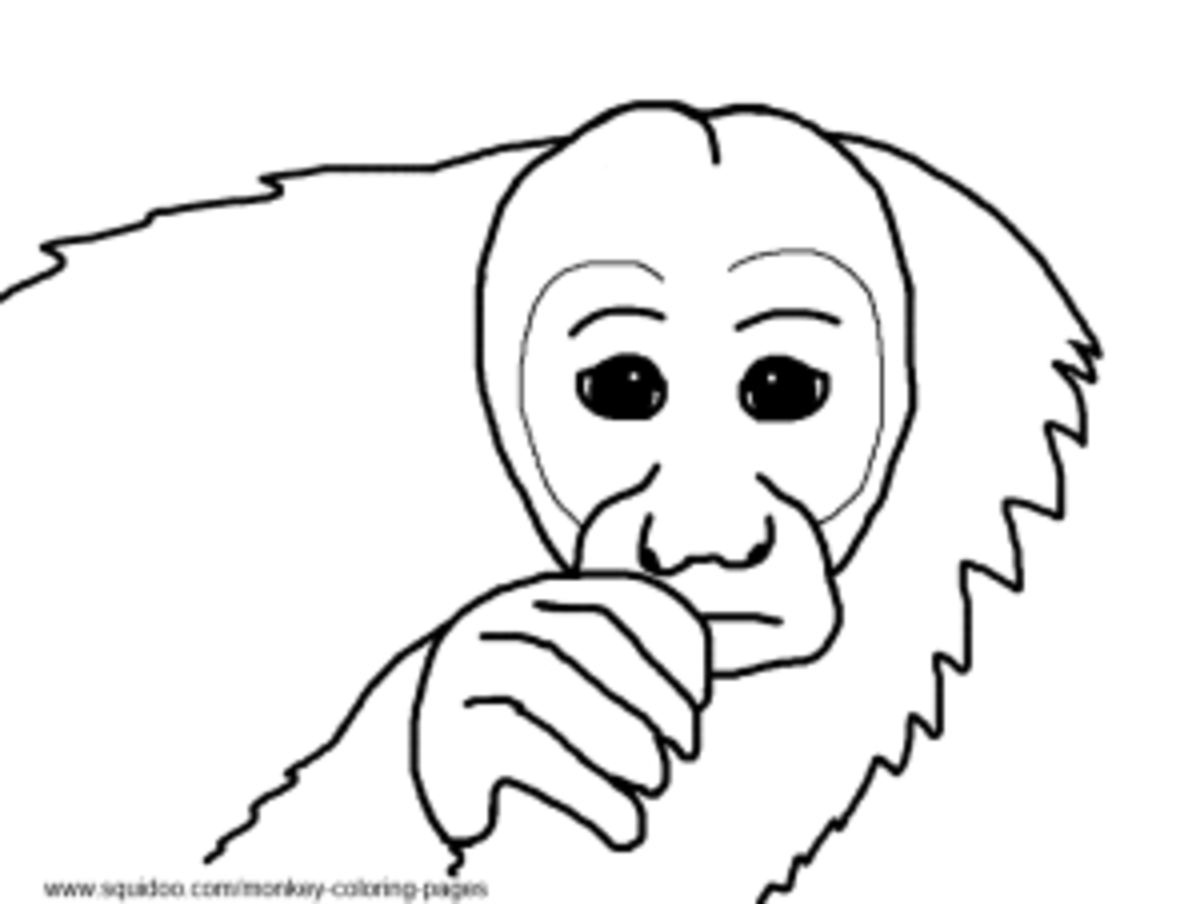 Uakari Monkey Coloring Pages