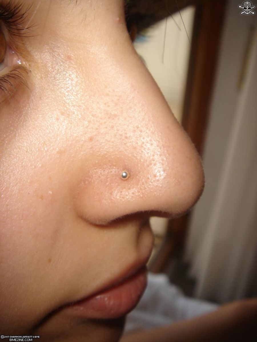 Introduction to the Types of Nostril and Septum Nose Piercings
