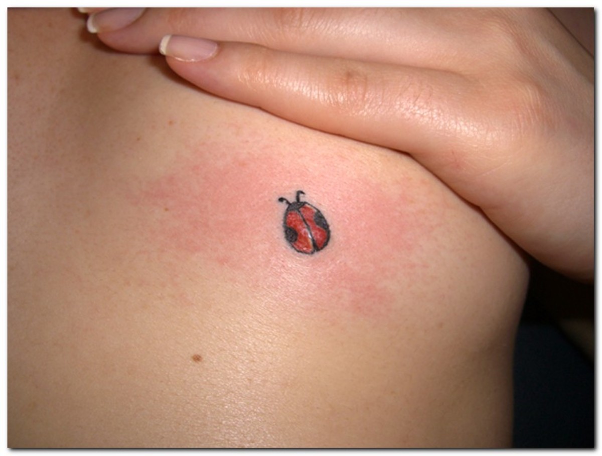 Spiritual Meaningful Ladybug Tattoo Amazing Ideas