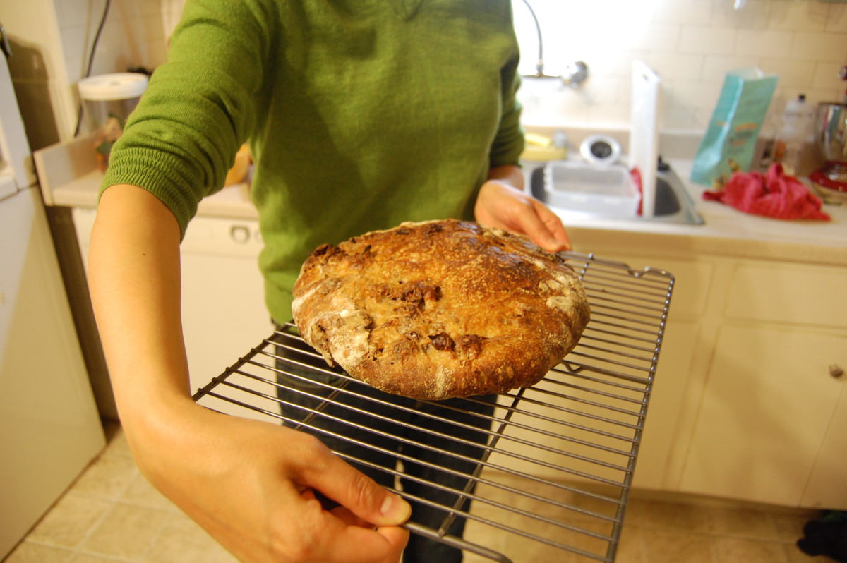 baking-the-tartine-walnut-bread-at-home