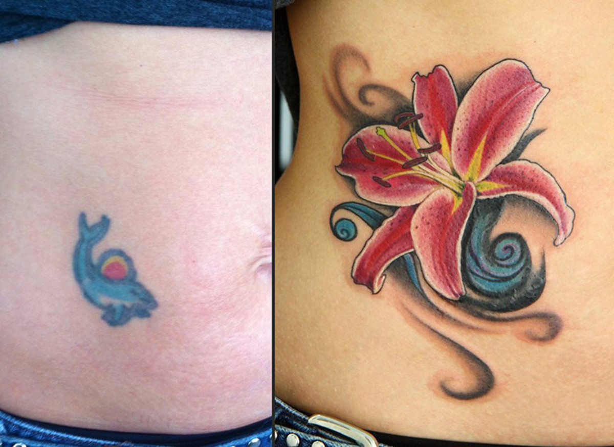 A rainbow and a dolphin gets a makeover involving a beautiful red lily.