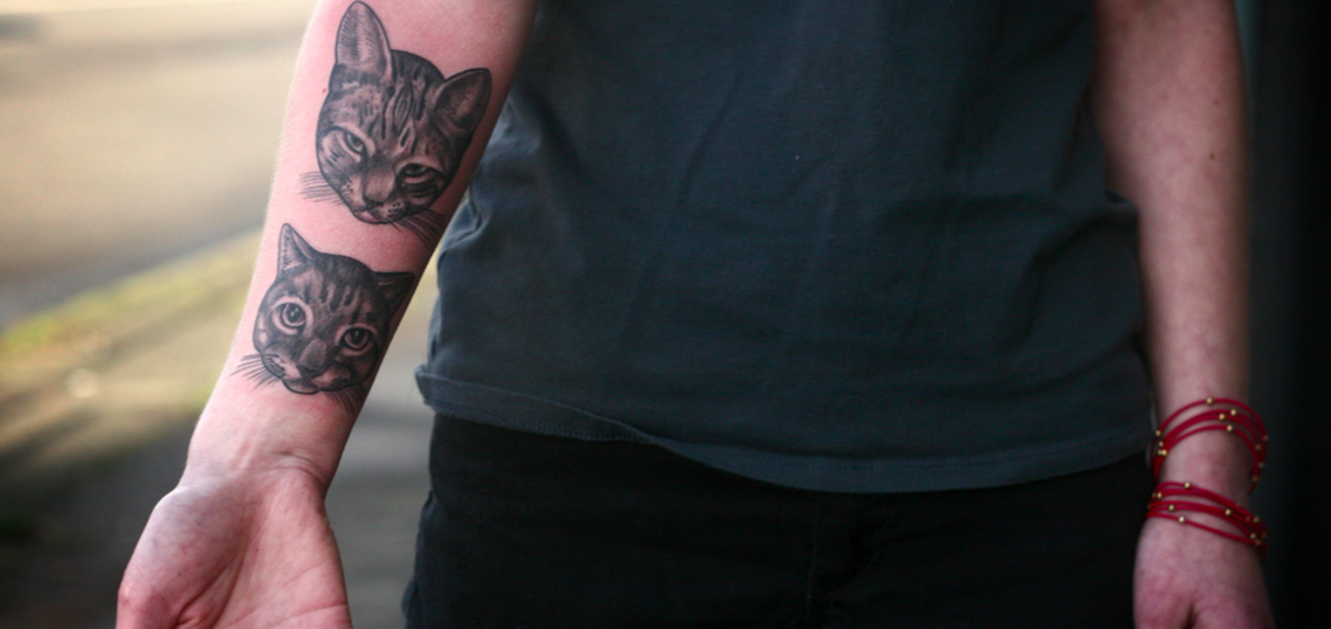 Cat tattoos on the arm.