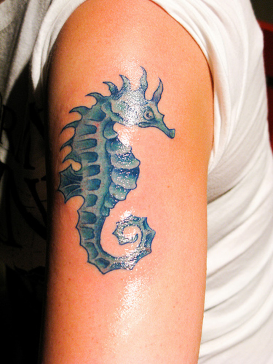 Sea Creature Tattoos Inspired By Strong And Resilient Souls  Cultura  Colectiva